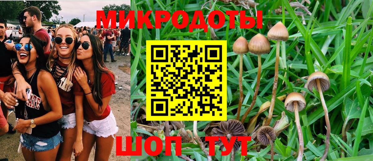 Асино  Псилоцибиновые грибы MAGIC MUSHROOMS  Вход с VPN  Галлюциногенные грибы прущие грибы 