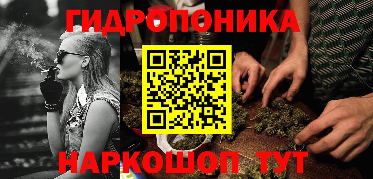 Асино  Конопля сатива  Каннабис семена  Бошки марихуана планчик  Вход с VPN 
